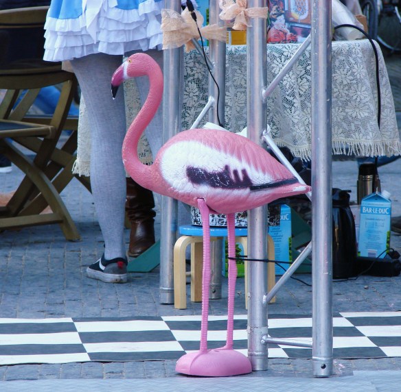 a flamingo in utrecht